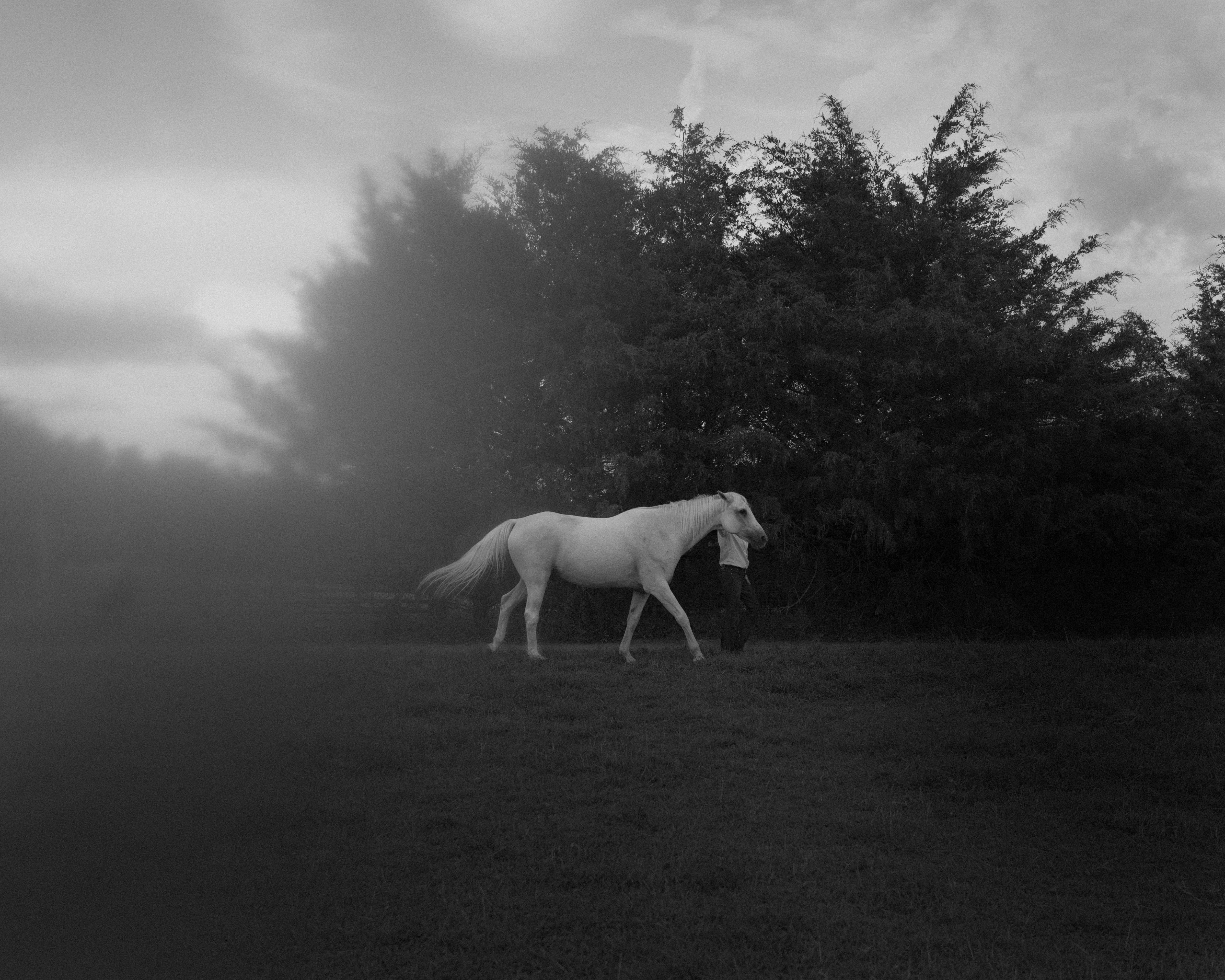 Sally Mann Erinn Springer